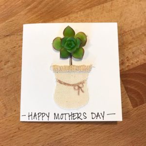 Cissy's Succulents - San Diego Handmade crafts and gifts